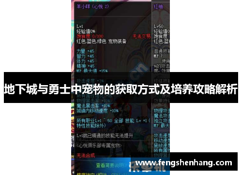 地下城与勇士中宠物的获取方式及培养攻略解析